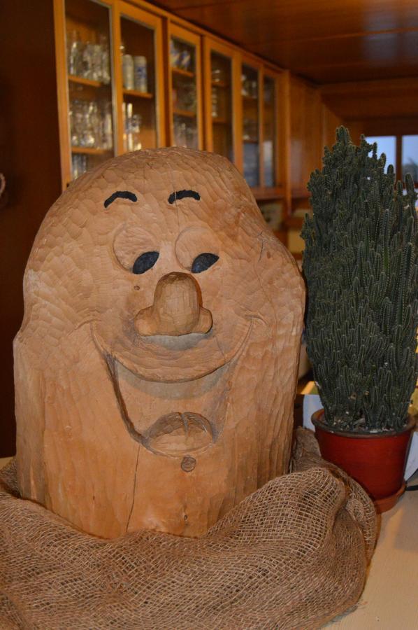 Gasthof Zahler Rofingen エクステリア 写真